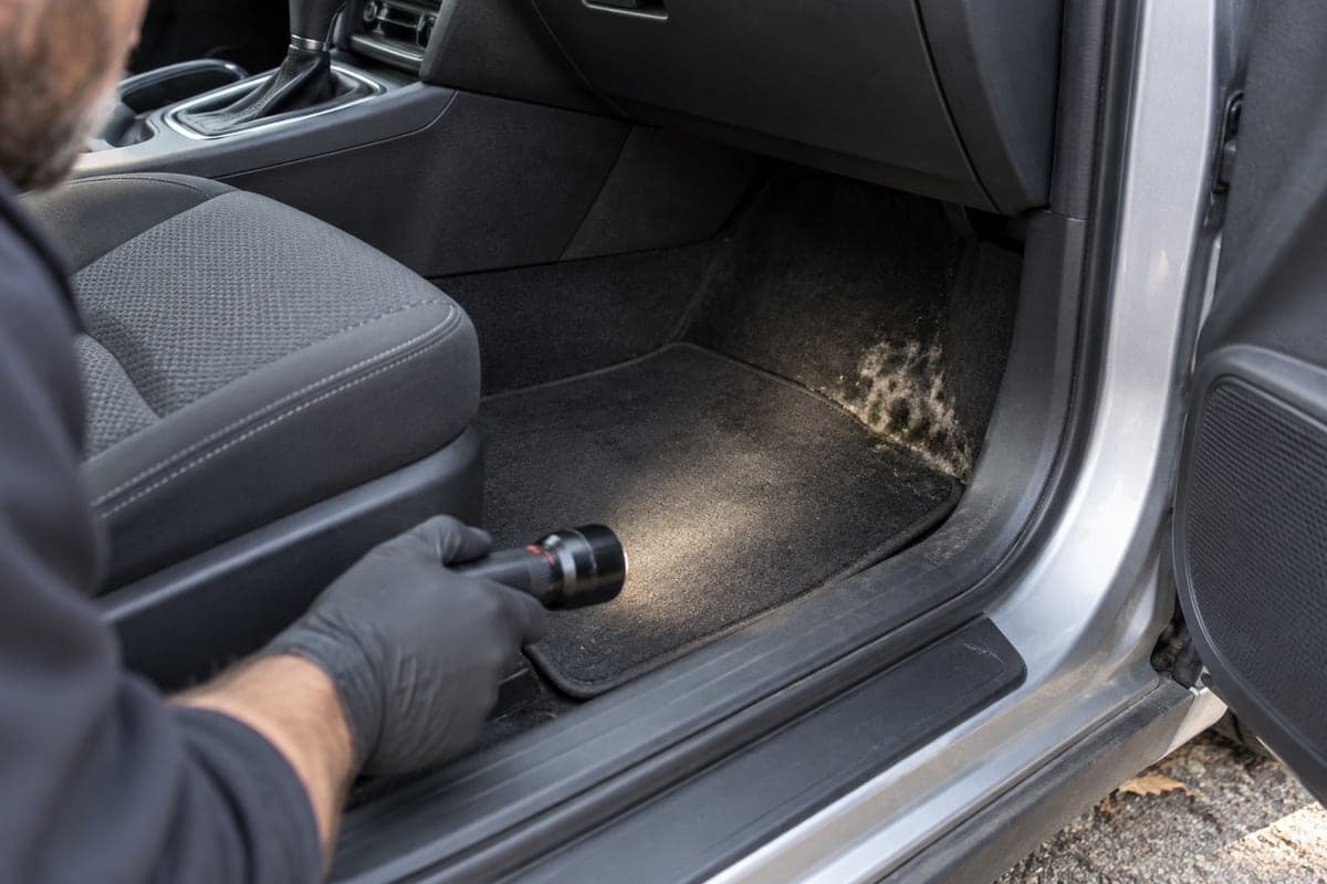 A gloved hand shines a flashlight into a car passenger footwell with mold along the carpet edge
